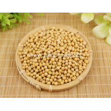 Soybean Health Benefits